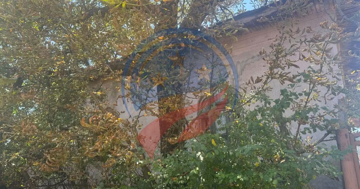 Casă individuală de vânzare cu 3 camere în Duțulești