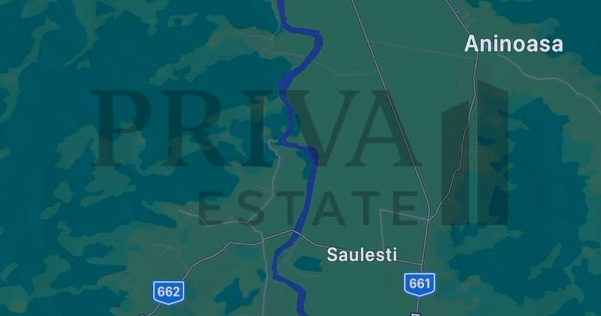 Teren extravilan de vânzare de 82000 mp, în Săulești