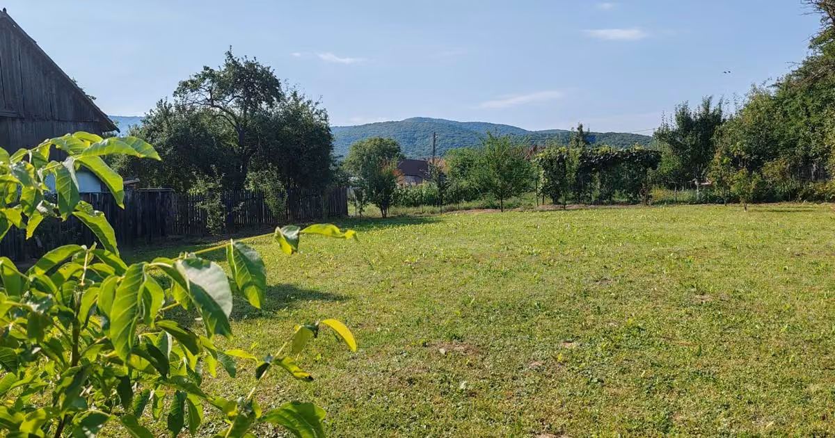 Teren Construcții intravilan de vânzare de 1000 mp, în Dobârlău
