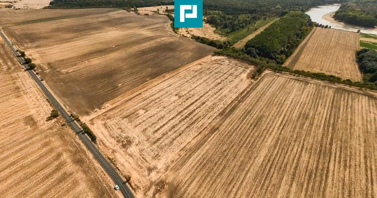 Teren agricol extravilan de vânzare de 23000 mp, în Pecica