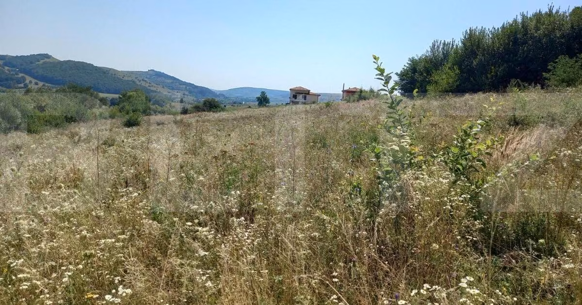 Teren Construcții extravilan de vânzare de 2550 mp, în zona Exterior Vest, Cluj-Napoca