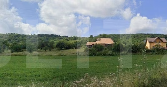 Teren Mărăști