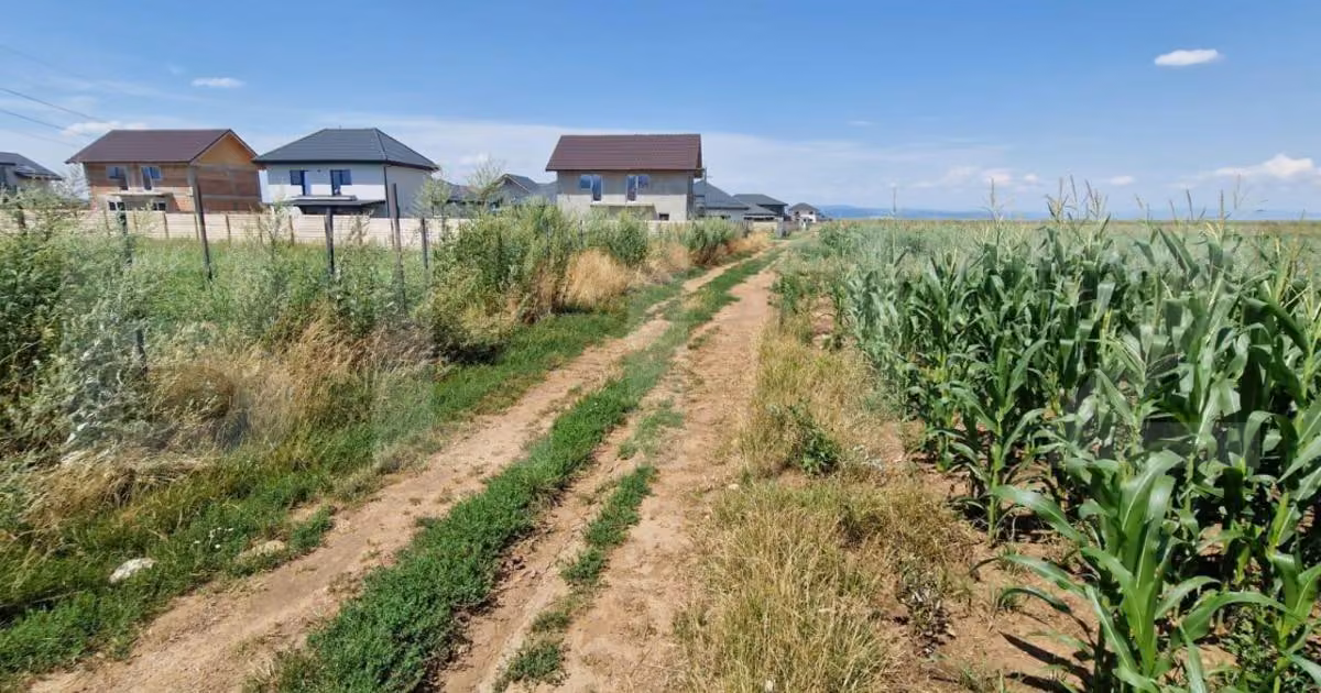 Teren Construcții extravilan de vânzare de 10900 mp, în zona Florilor, Brașov
