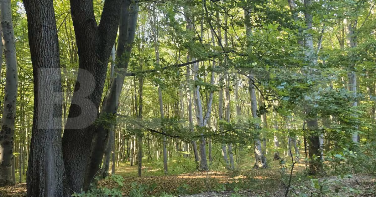 Teren extravilan de vânzare de 1250 mp, în zona Făget, Cluj-Napoca
