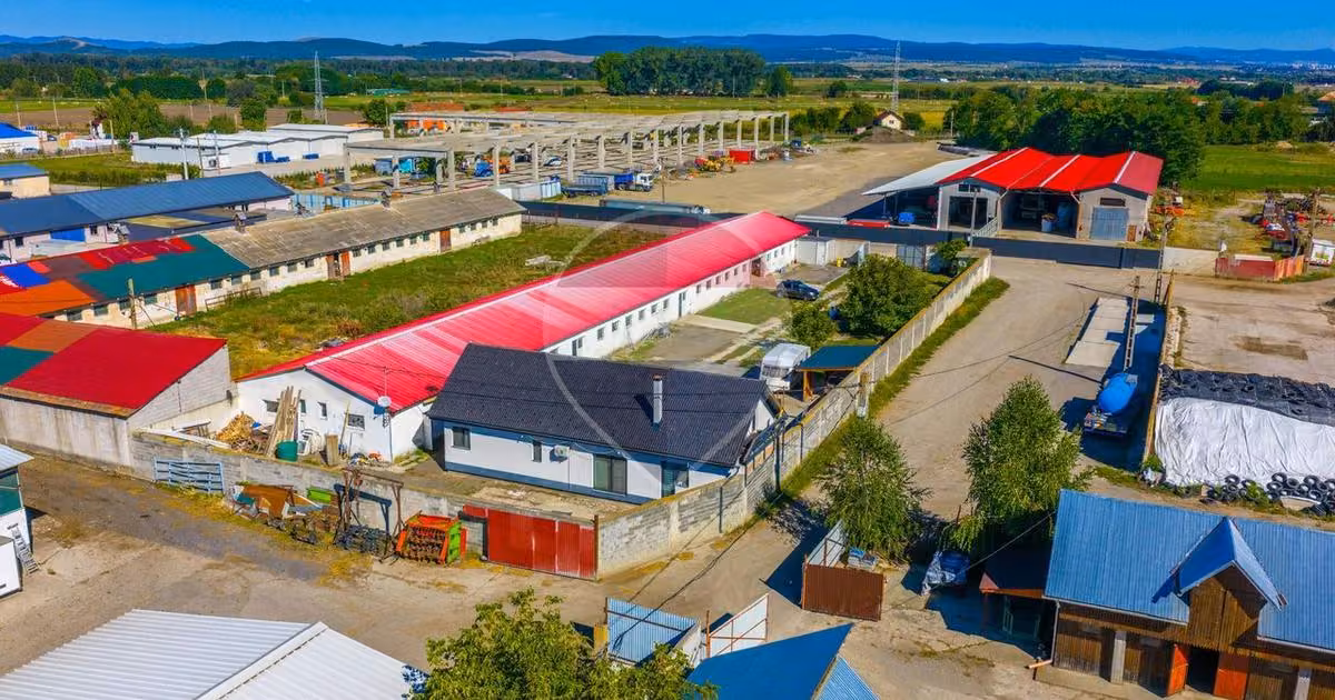 Spațiu industrial de vânzare de 781 mp, în Prejmer