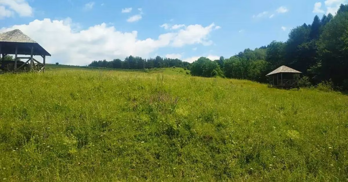 Teren intravilan de vânzare de 46800 mp, în Breaza