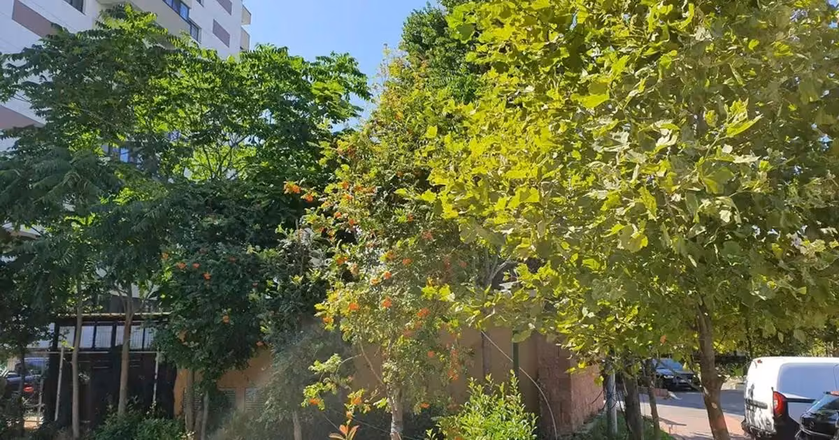 Apartament de vânzare cu 3 camere în zona Ozana, Sector 3
