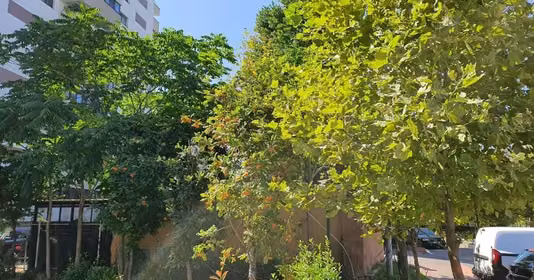 Apartament Ozana