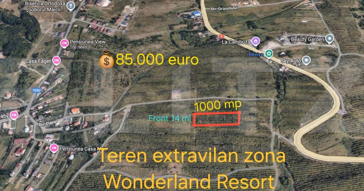 Teren Construcții extravilan de vânzare de 1000 mp, în zona Exterior Sud, Cluj-Napoca