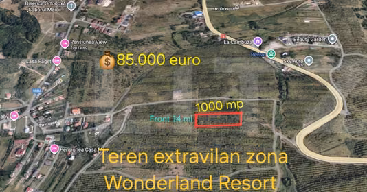 Teren Bună Ziua