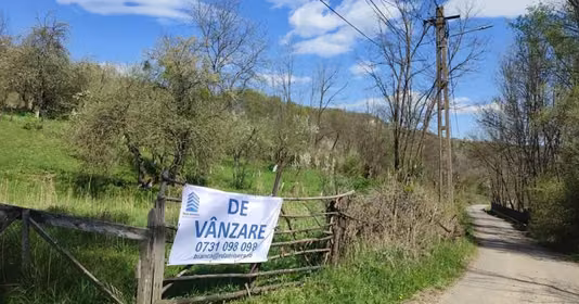 Teren Provița de Sus