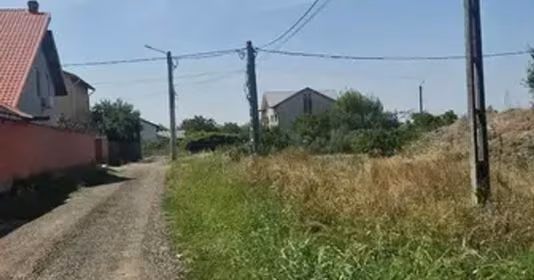 Teren Brănești