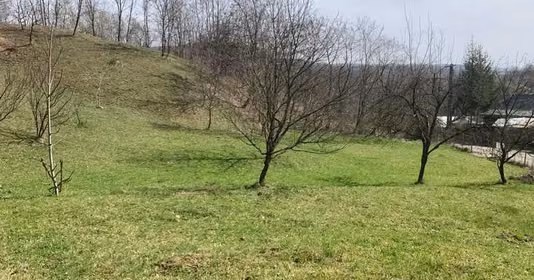 Teren Provița de Sus