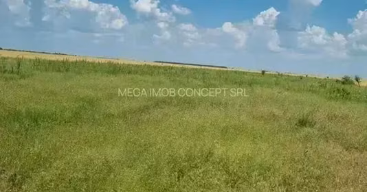 Teren Vadu Anei