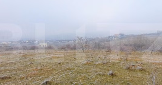 Teren Bună Ziua