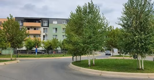 Apartament Theodor Pallady