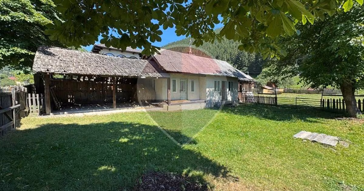 Teren Construcții intravilan de vânzare de 5417 mp, în Borca