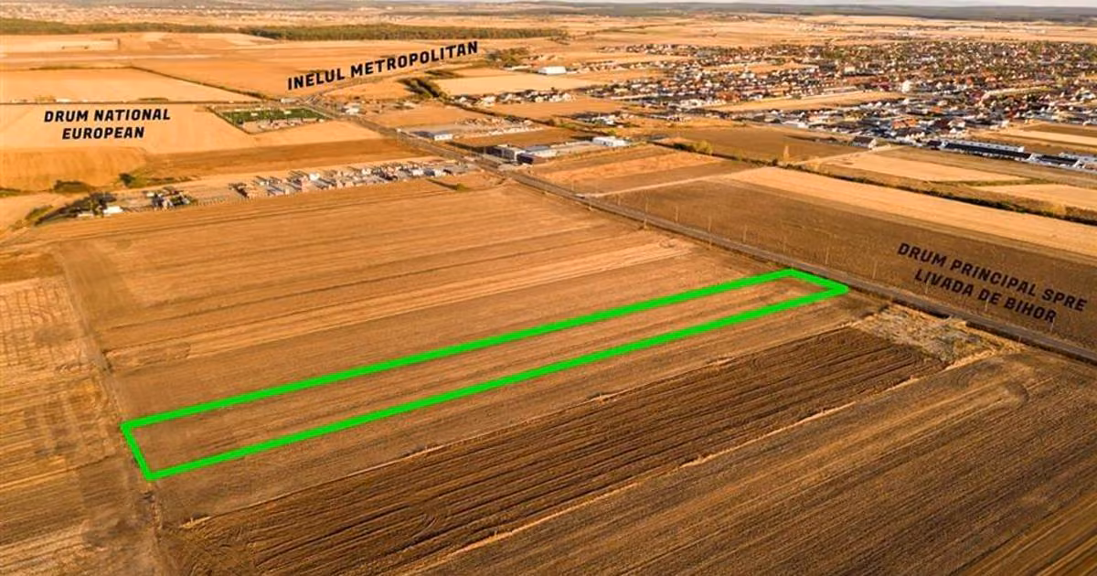 Teren intravilan de vânzare de 5755 mp, în Livada de Bihor