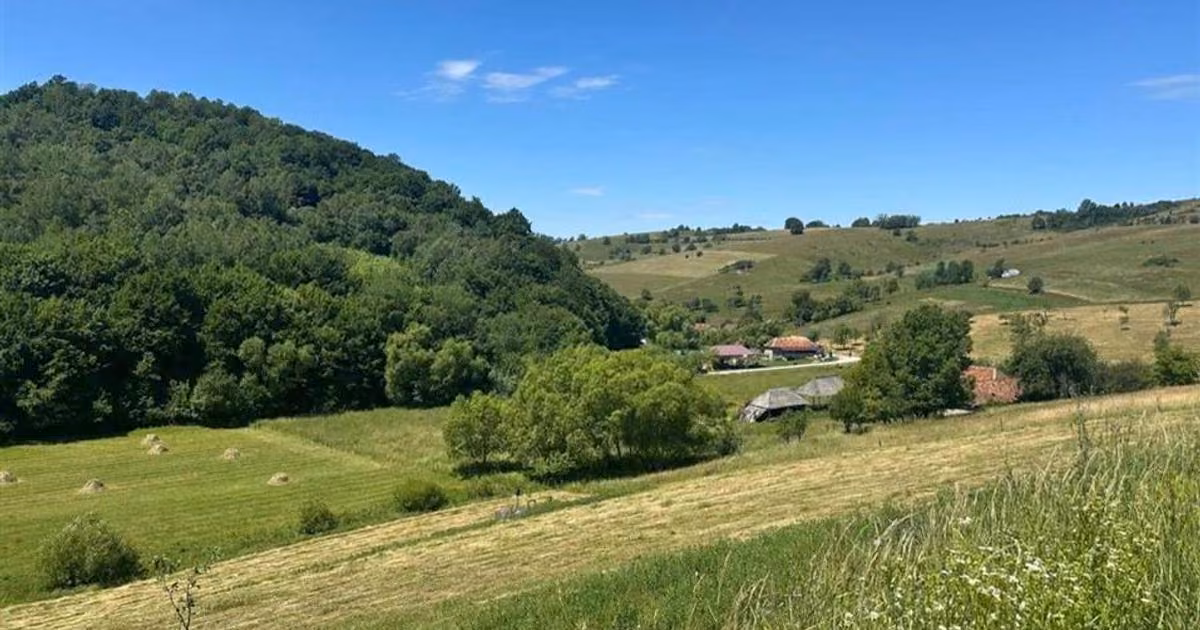 Teren intravilan de vânzare de 1183 mp, în Călățea