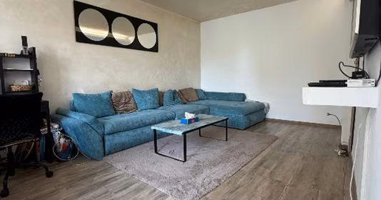 Apartament Tineretului