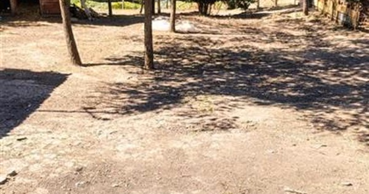 Teren intravilan de vânzare de 4596 mp, în Cetariu