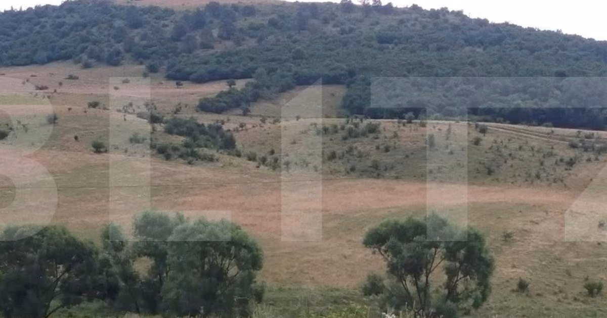 Teren Construcții intravilan de vânzare de 5700 mp, în zona Exterior Est, Cluj-Napoca
