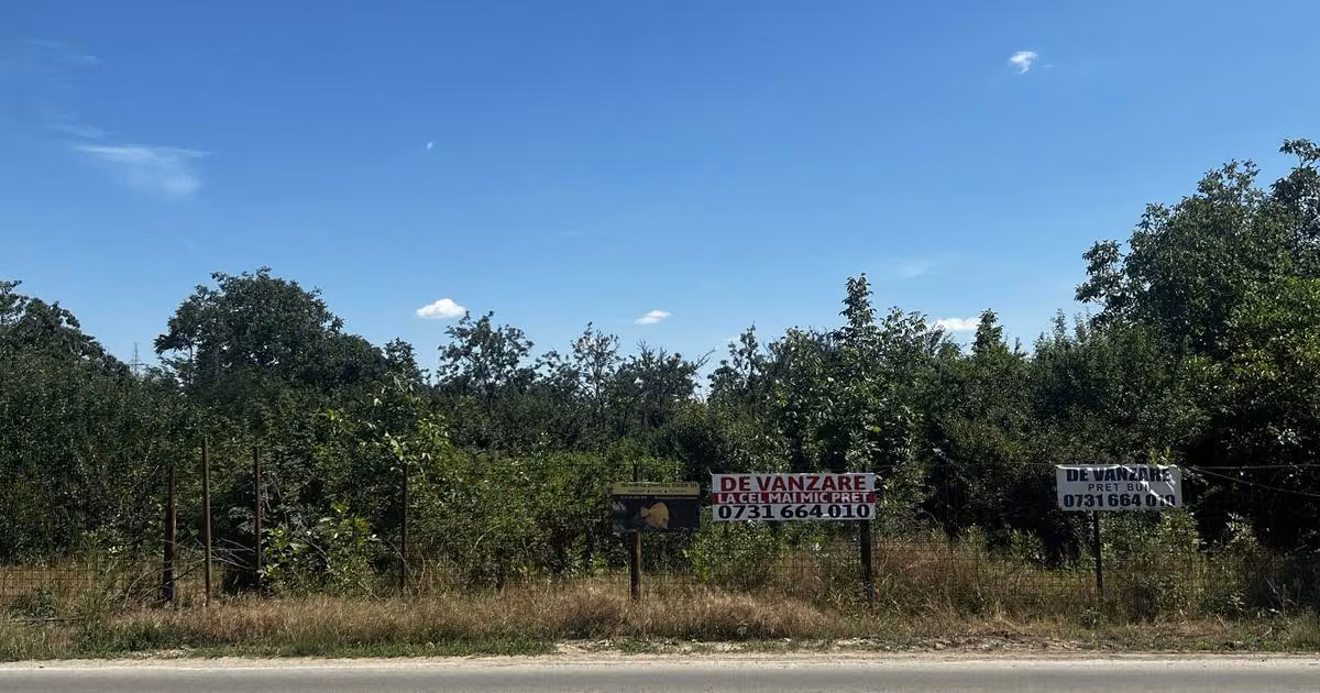 Teren Construcții intravilan de vânzare de 2527 mp, în Buftea