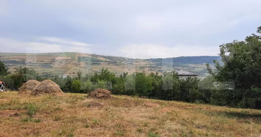 Teren Mărăști