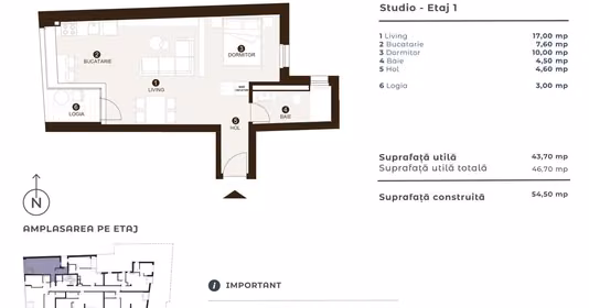 Apartament Tineretului