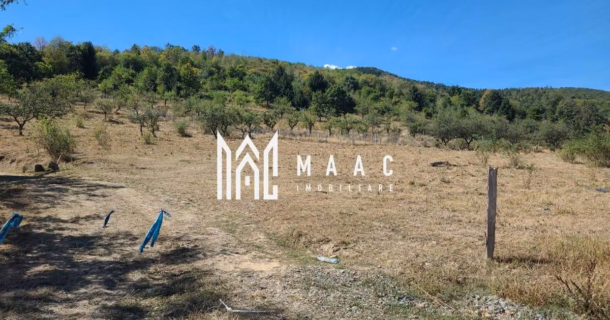 Teren agricol intravilan de vânzare de 500 mp, în Săliște