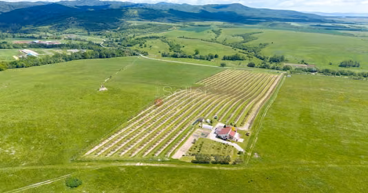 Casă Dumbrăvița