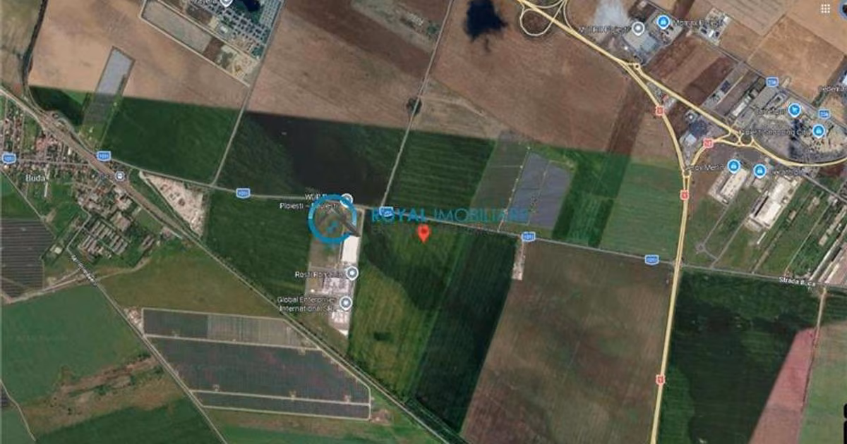 Teren extravilan de vânzare de 37500 mp, în Păulești
