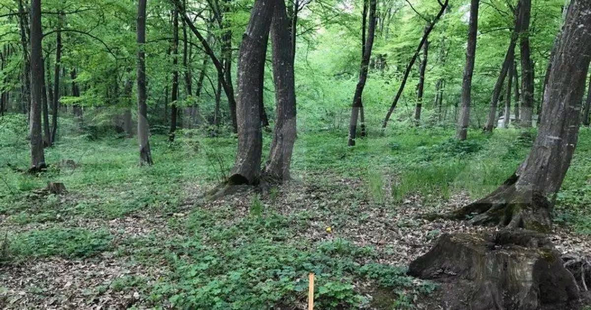Teren Construcții intravilan de vânzare de 1100 mp, în zona Făget, Cluj-Napoca