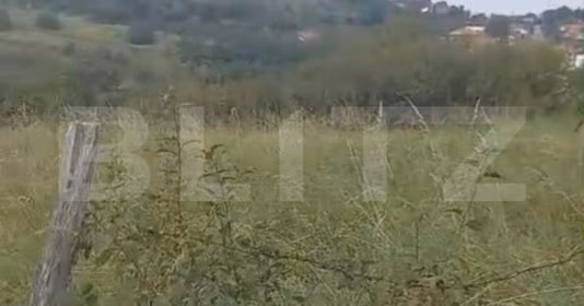 Teren Bună Ziua