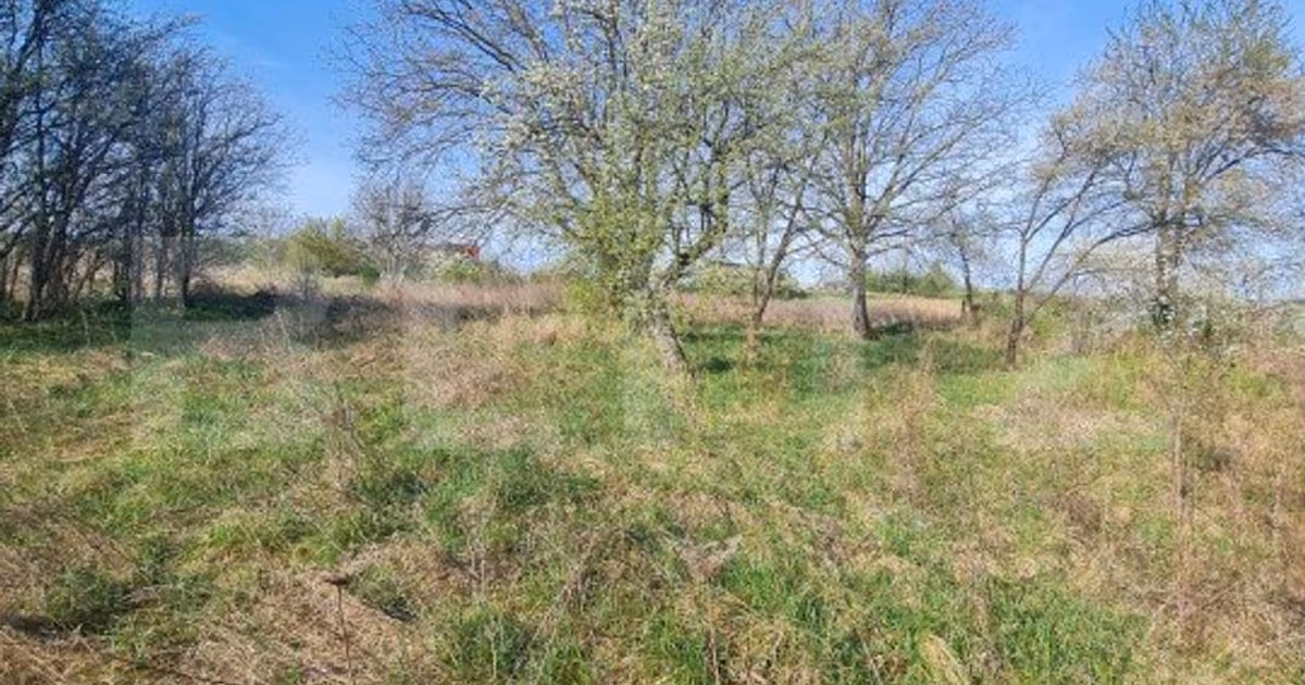 Teren Construcții intravilan de vânzare de 4000 mp, în zona Iris, Cluj-Napoca