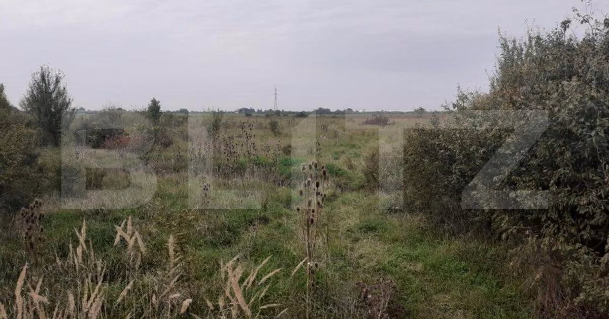 Teren Construcții intravilan de vânzare de 39600 mp, în zona Gării, Timișoara