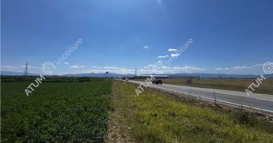Teren Turnișor