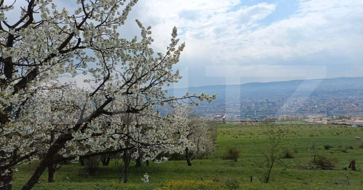Teren Construcții extravilan de vânzare de 8310 mp, în zona Dâmbul Rotund, Cluj-Napoca