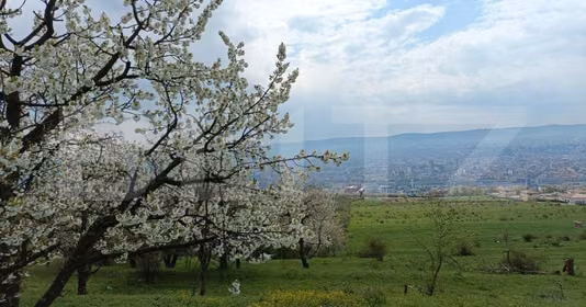 Teren Mărăști