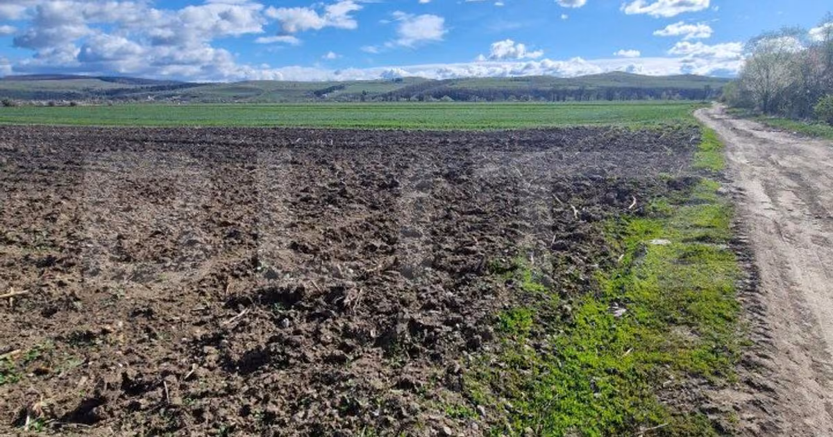 Teren agricol extravilan de vânzare de 15000 mp, în Bod