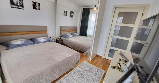 Apartament Valea Lupului