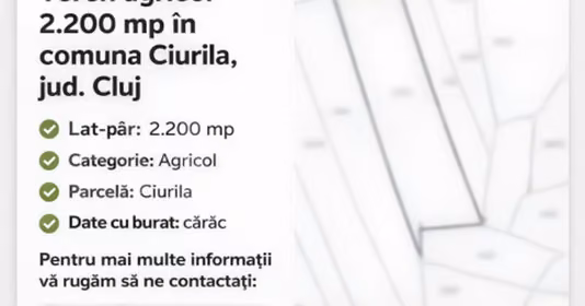 Teren Bună Ziua