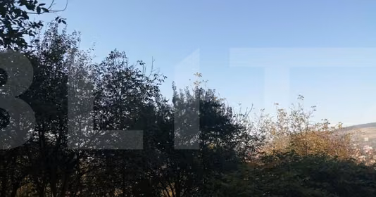 Teren Centru