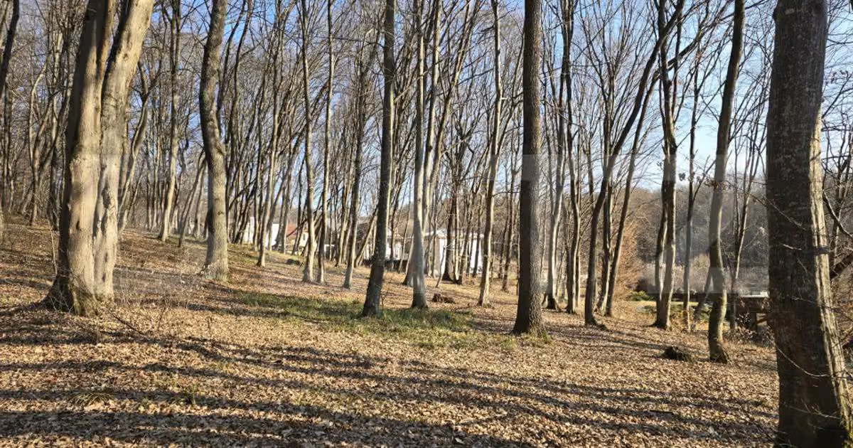 Teren intravilan de vânzare de 3000 mp, în zona Făget, Cluj-Napoca