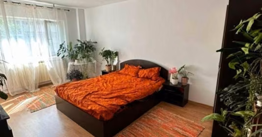 Apartament Nicolina