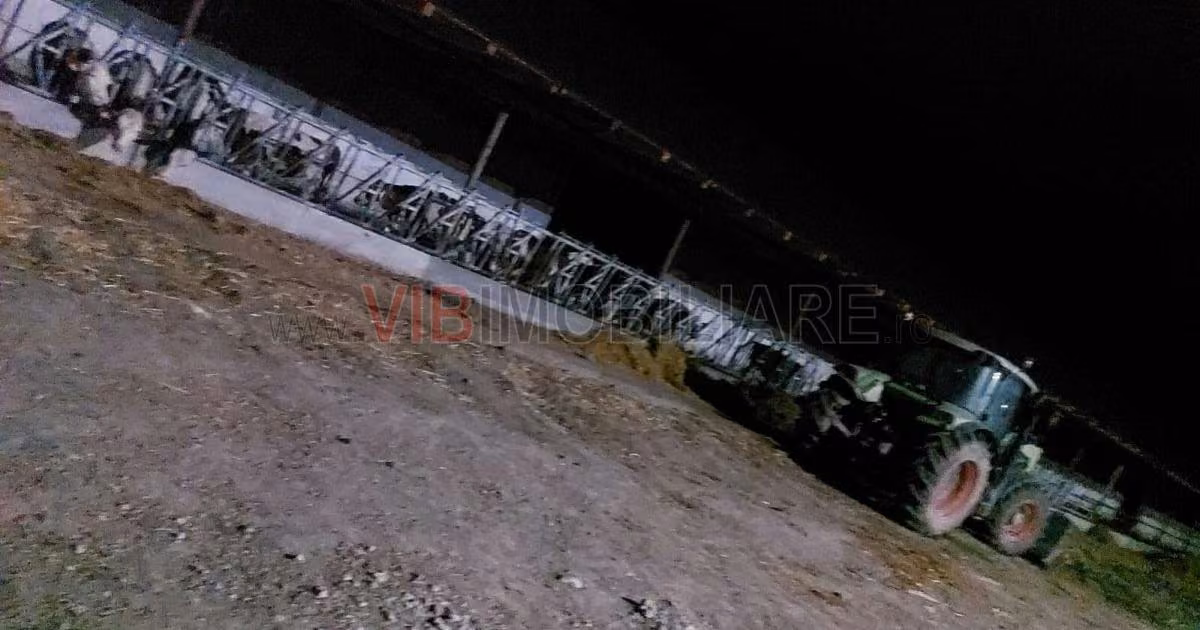 Teren extravilan de vânzare de 400000000 mp, în Cenad