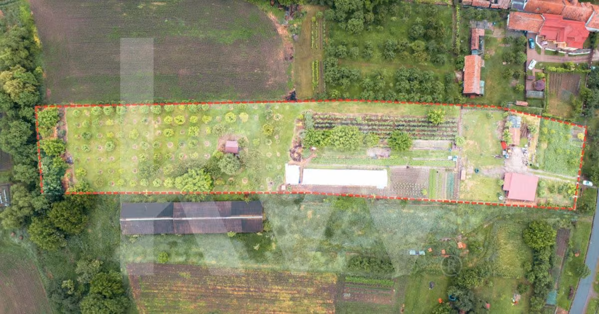 Teren Construcții intravilan de vânzare de 7979 mp, în Delenii