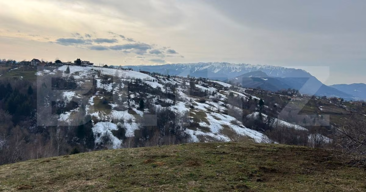 Teren Construcții extravilan de vânzare de 7000 mp, în Bran