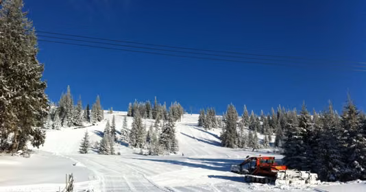 Teren Muntele Băișorii