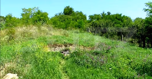 Teren Gheorgheni